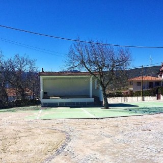 Associação Raiz do Monte